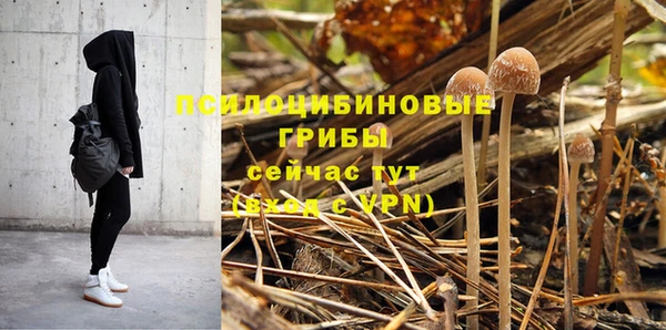 амф Майский