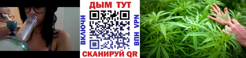 Конопля ГИДРОПОН  Таштагол 